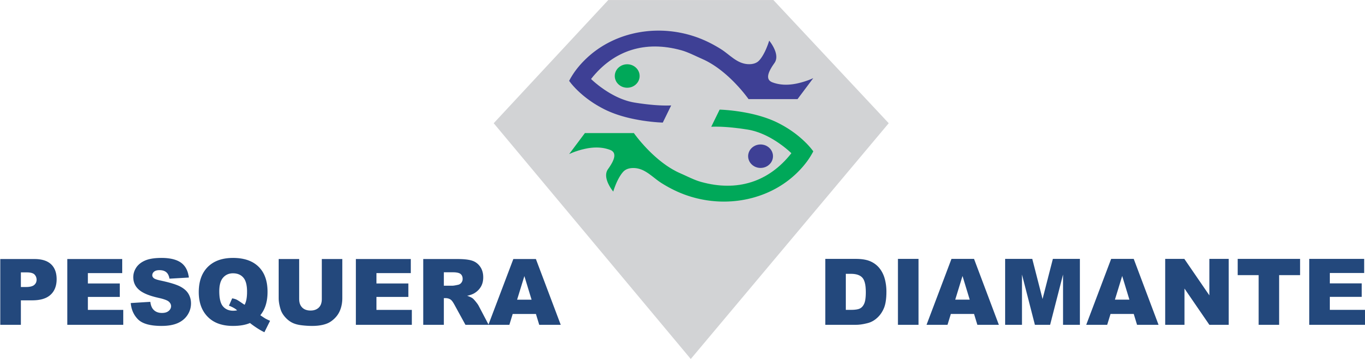 Imagen no Encontrada